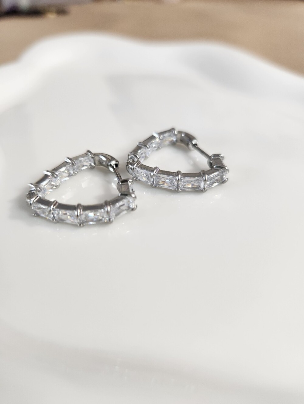 Stainless Steel Hoop Earrings